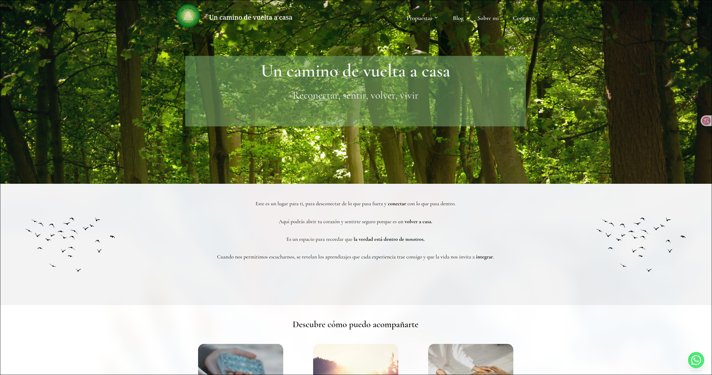 Un Camino de Vuelta a Casa